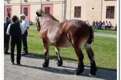 ardenner-osterby-2009-001