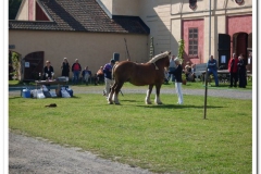 ardenner-osterby-2009-006