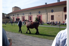 ardenner-osterby-2009-009