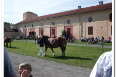 ardenner-osterby-2009-010