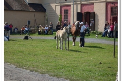 ardenner-osterby-2009-011