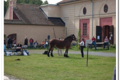 ardenner-osterby-2009-013