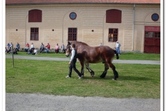 ardenner-osterby-2009-014