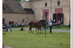 ardenner-osterby-2009-015