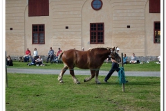 ardenner-osterby-2009-017