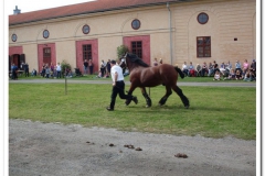 ardenner-osterby-2009-018