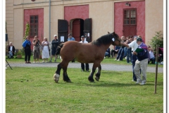 ardenner-osterby-2009-019