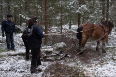 skogsdagen-20170304-045