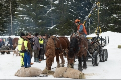 skogsdag-20180303-004