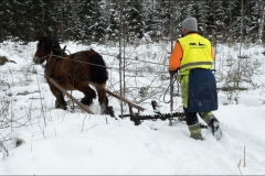 skogsdag-20180303-031