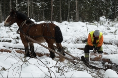 skogsdag-20180303-035