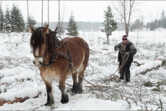 skogsdag-20180303-057