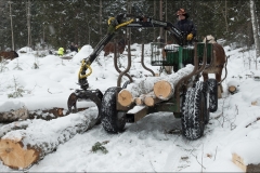 skogsdag-20180303-086