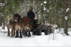 skogsdag-20180303-112