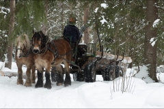 skogsdag-20180303-112