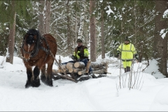 skogsdag-20180303-121