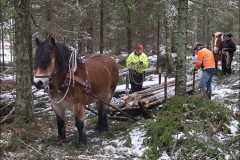 skogsdag-20160305-102