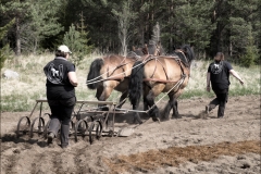 vårbruk-20170521-043