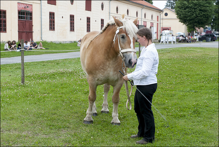 premiering-20120728-163