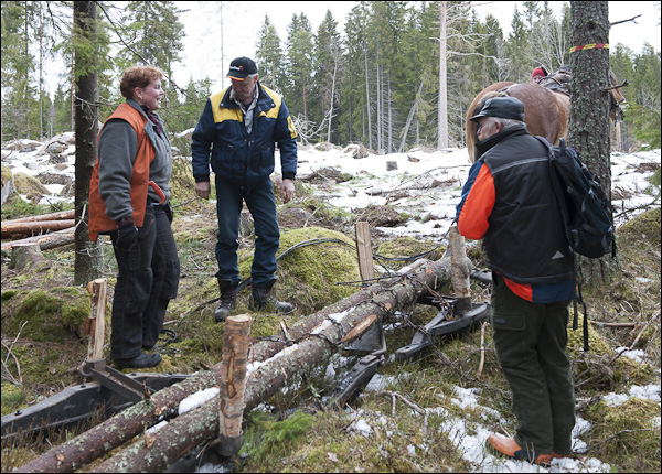 skogsdagen-20120310-006