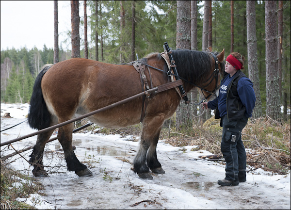 skogsdagen-20120310-009