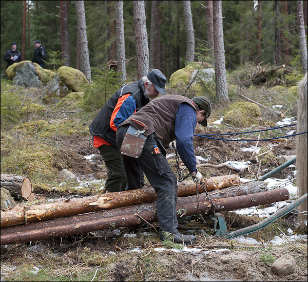 skogsdagen-20120310-033