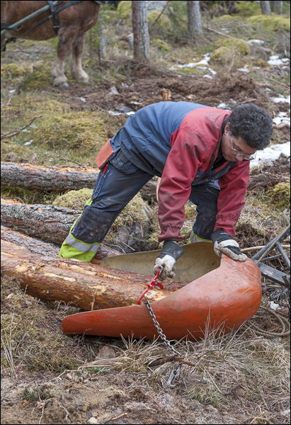 skogsdagen-20120310-048