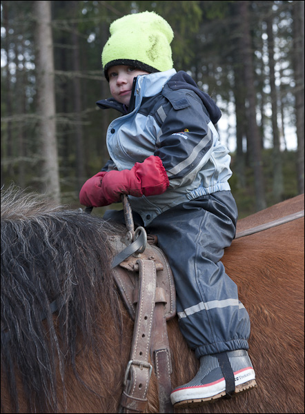 skogsdagen-20120310-117