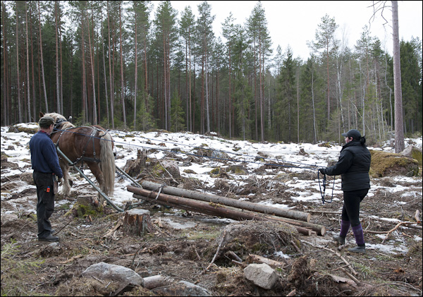 skogsdagen-20120310-131