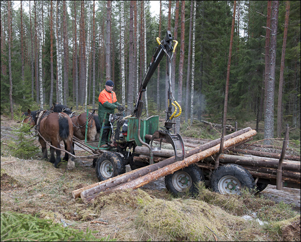 skogsdagen-20120310-142