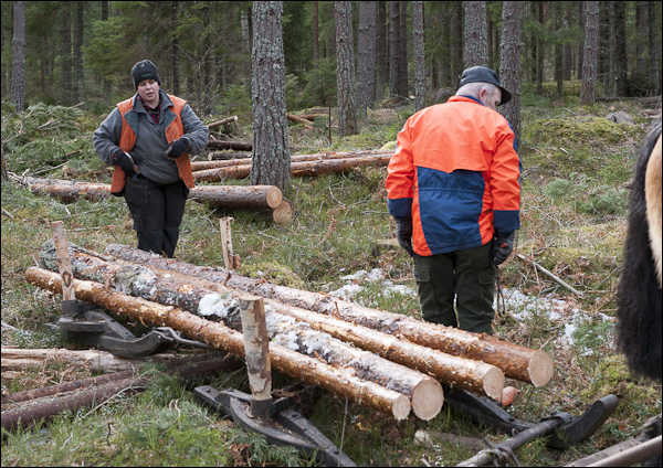 skogsdagen-20120310-151