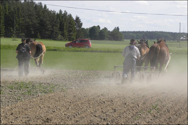 varbruk-20130601-005