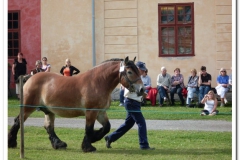 ardenner-osterby-2009-022