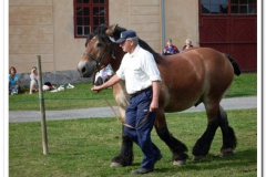 ardenner-osterby-2009-023