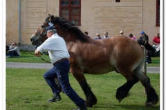 ardenner-osterby-2009-025