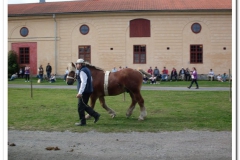 ardenner-osterby-2009-026