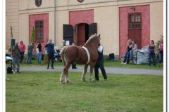 ardenner-osterby-2009-027