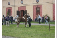 ardenner-osterby-2009-029