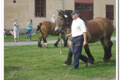 ardenner-osterby-2009-032